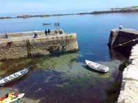 County Dublin Fishing